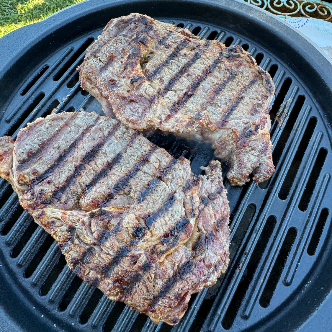 Lifespace Live Fire Learning Lab Kit - BBQ, Grill & Dutch Oven