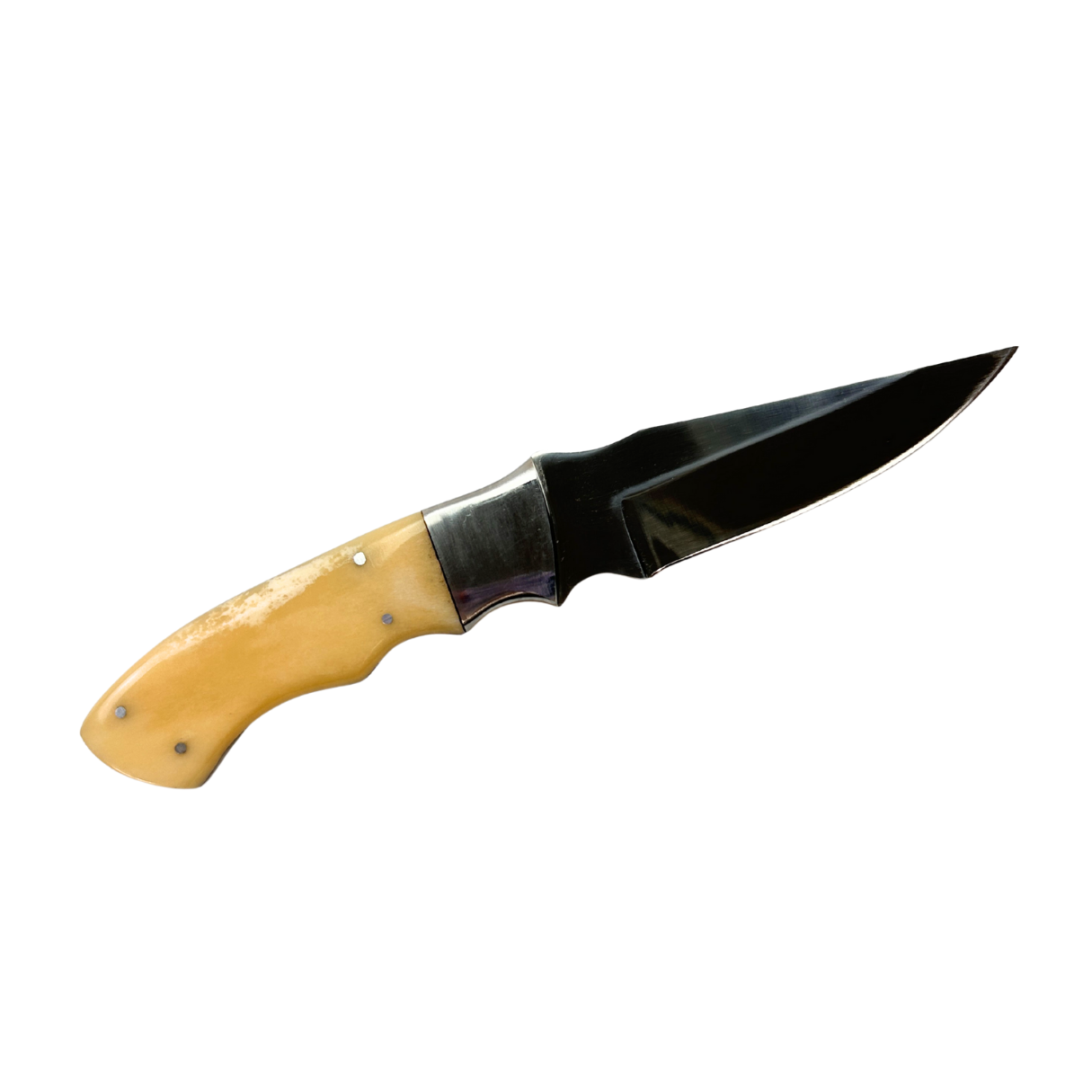 Lifespace Stainless Steel Knife with Camel Bone Handle and Leather Sheath