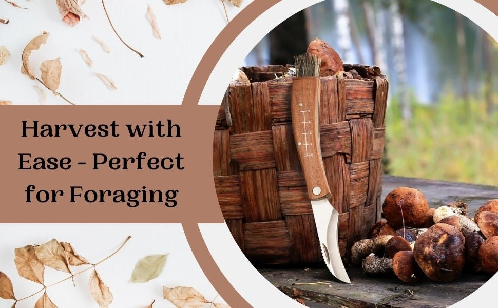 Lifespace Large Stainless Steel Folding Mushroom and Foraging Knife