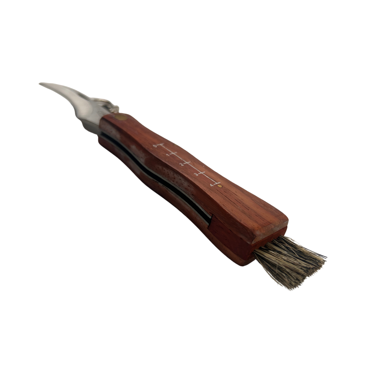 Lifespace Large Stainless Steel Folding Mushroom and Foraging Knife