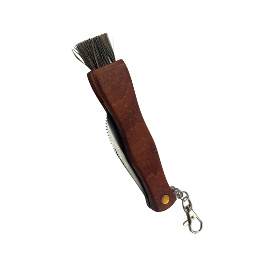 Lifespace Large Stainless Steel Folding Mushroom and Foraging Knife