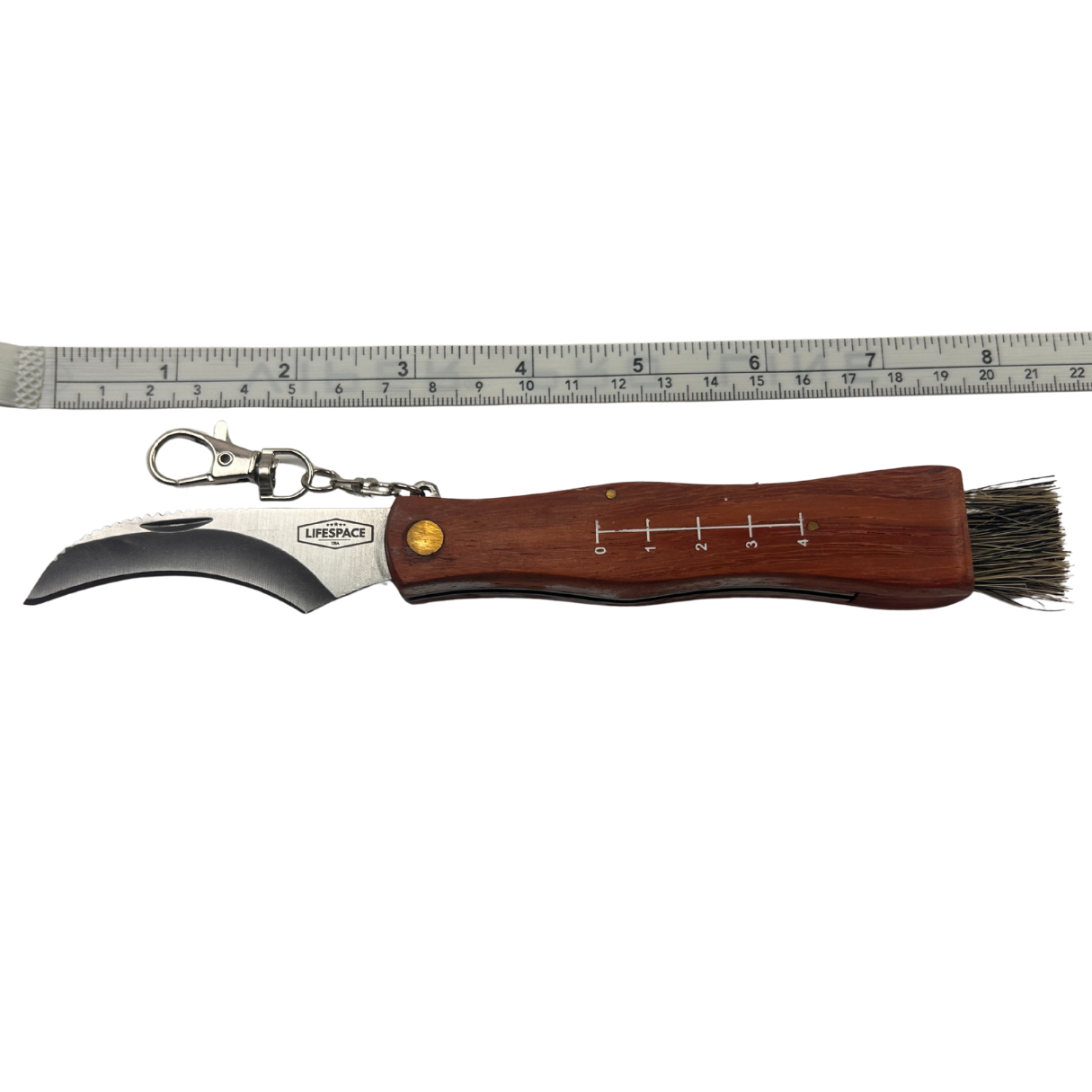 Lifespace Large Stainless Steel Folding Mushroom and Foraging Knife
