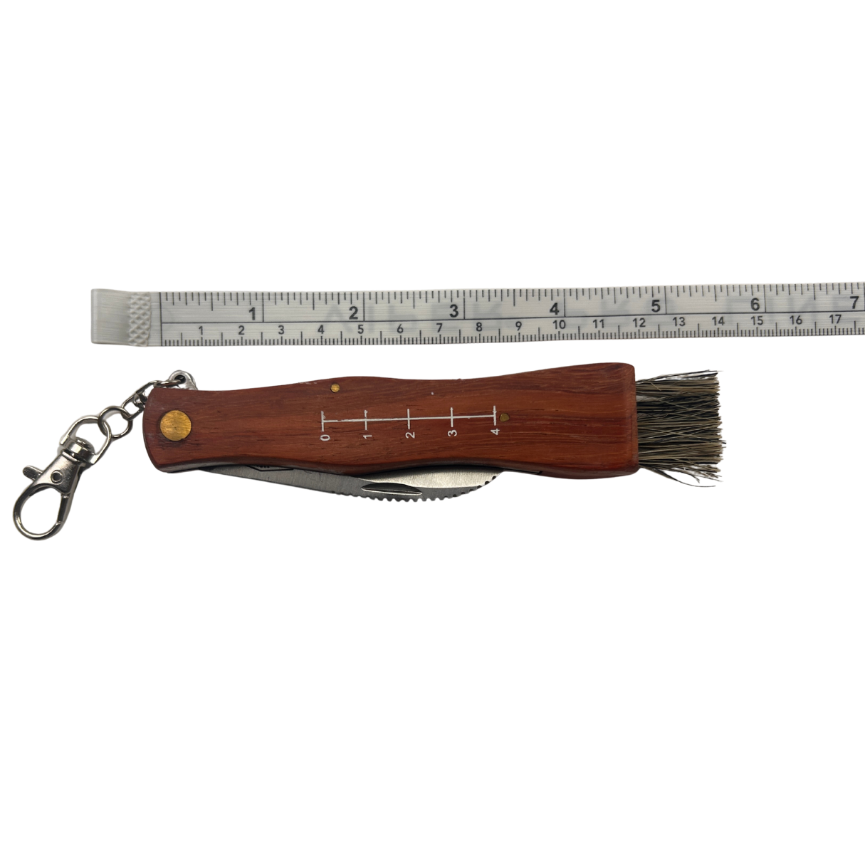 Lifespace Large Stainless Steel Folding Mushroom and Foraging Knife