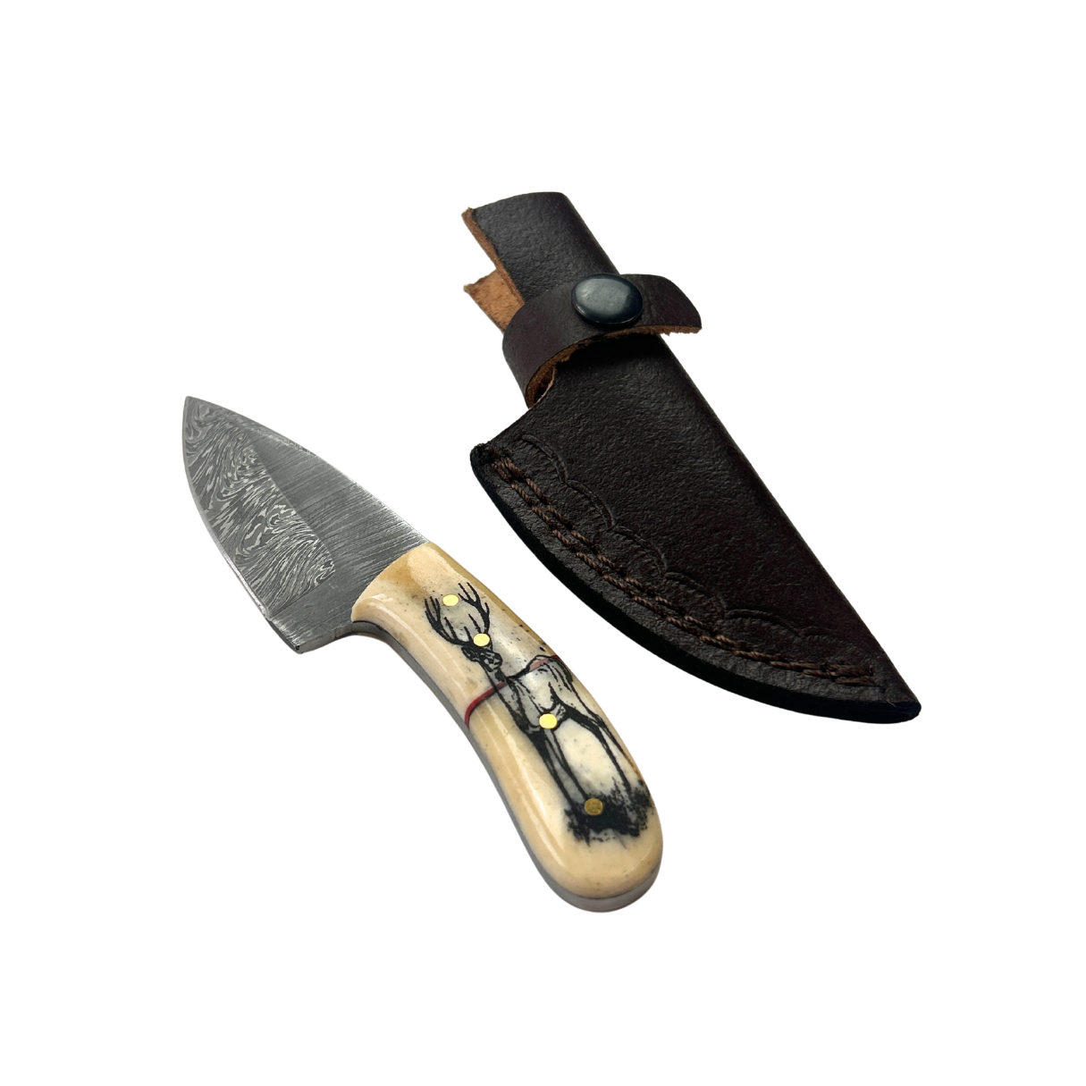 Lifespace Hand Forged Damascus Steel Mini Knife with Camel Bone Handle and Leather Sheath