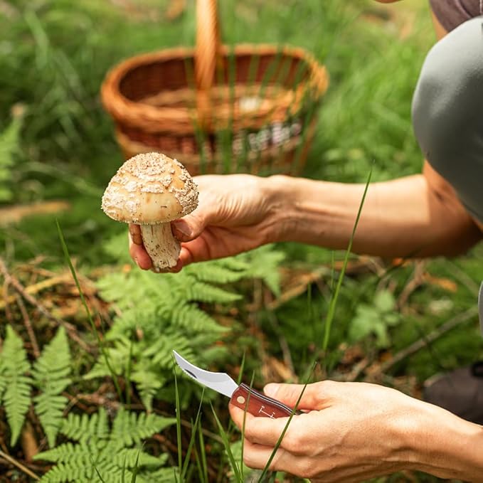 Lifespace Large Stainless Steel Folding Mushroom and Foraging Knife