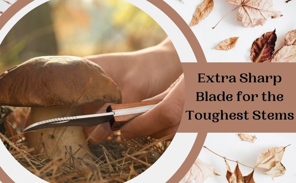 Lifespace Large Stainless Steel Folding Mushroom and Foraging Knife