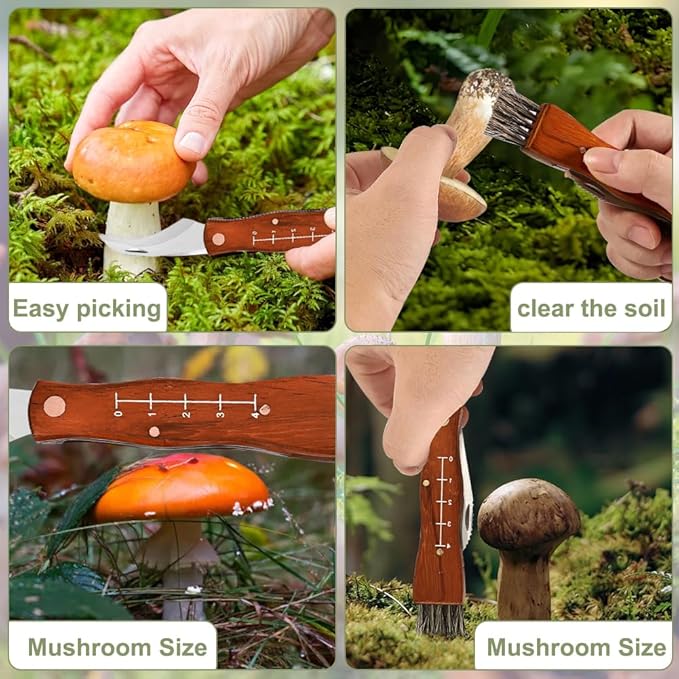 Lifespace Large Stainless Steel Folding Mushroom and Foraging Knife