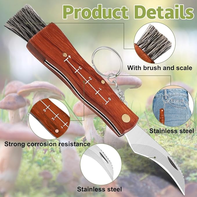Lifespace Large Stainless Steel Folding Mushroom and Foraging Knife