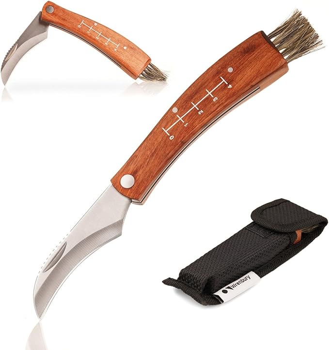 Lifespace Large Stainless Steel Folding Mushroom and Foraging Knife