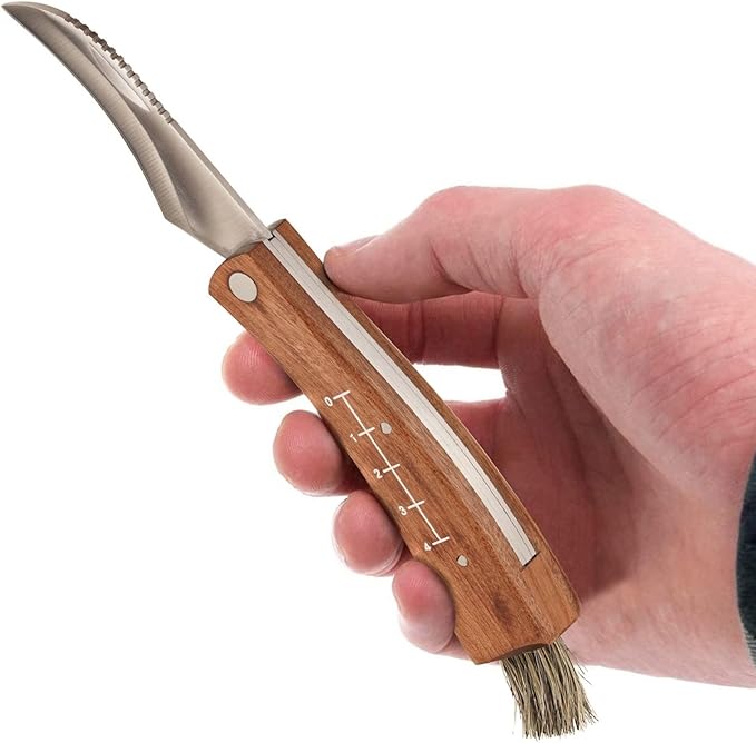 Lifespace Large Stainless Steel Folding Mushroom and Foraging Knife