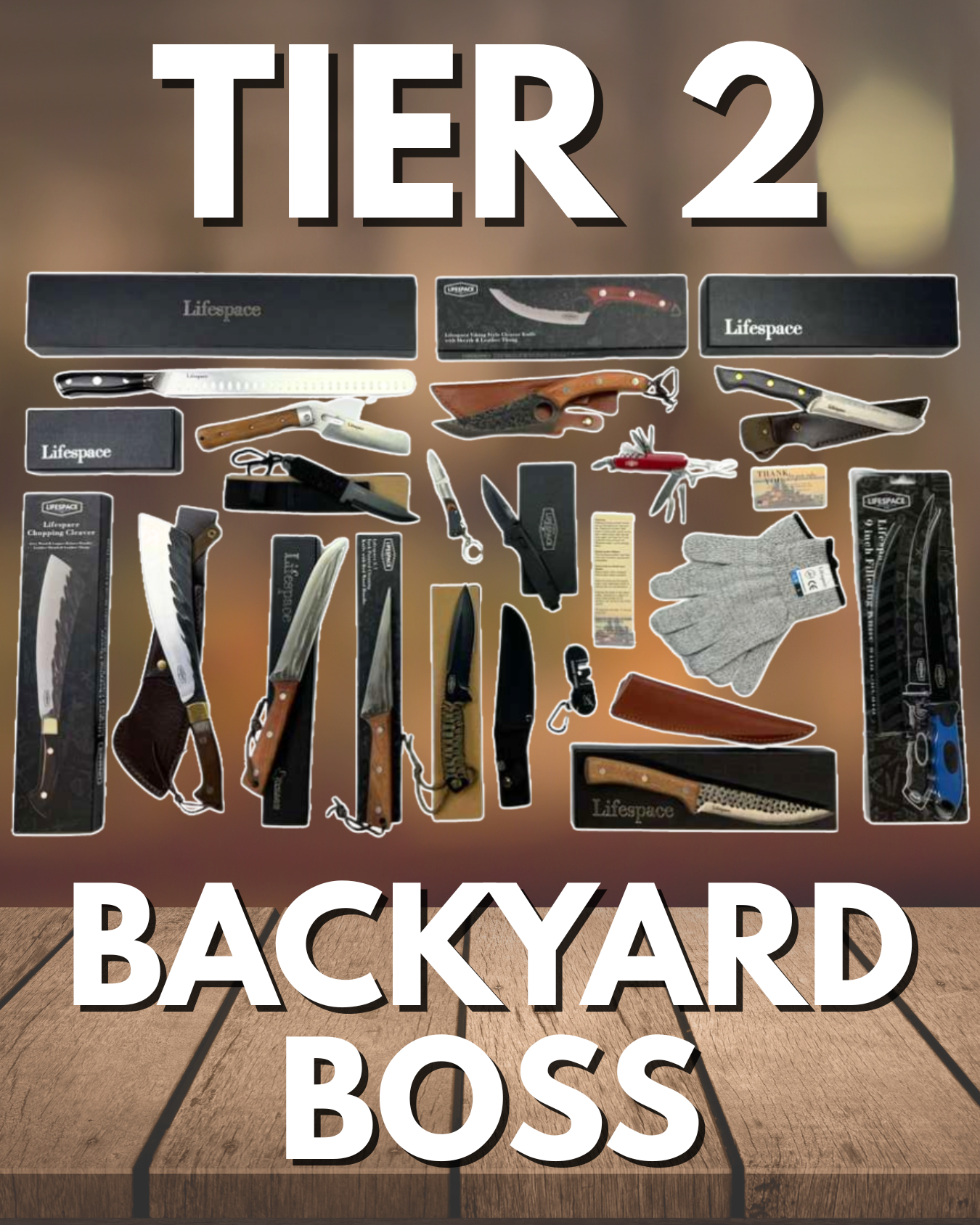 Lifespace BizBox Tier 2 - A Simple Way to Add Serious Revenue