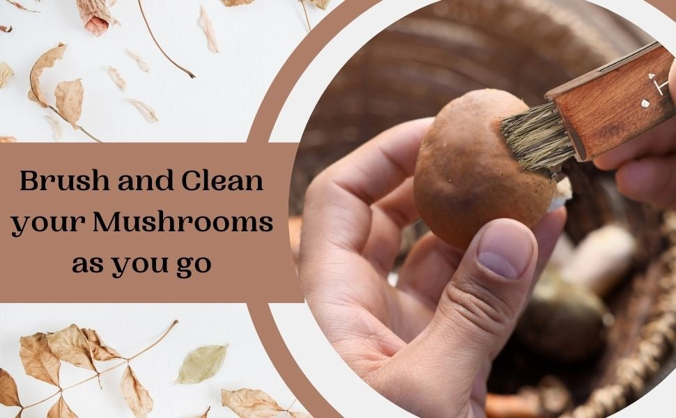 Lifespace Large Stainless Steel Folding Mushroom and Foraging Knife